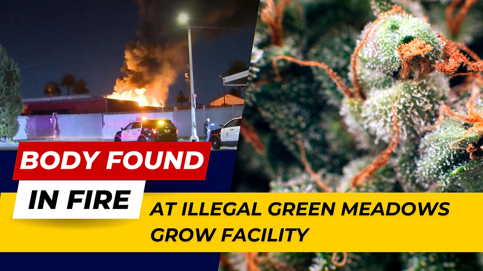 Deadly Fire in Cannabis Lab in Green Meadows, LAPD Launches Investigation