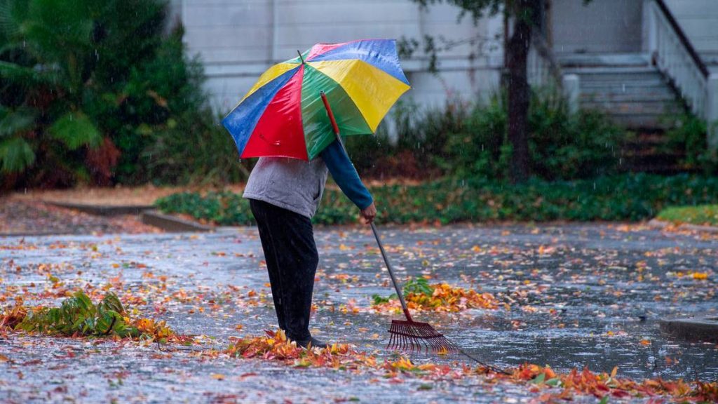 Sunny Days Ahead: Sacramento’s January Weather Takes a Turn