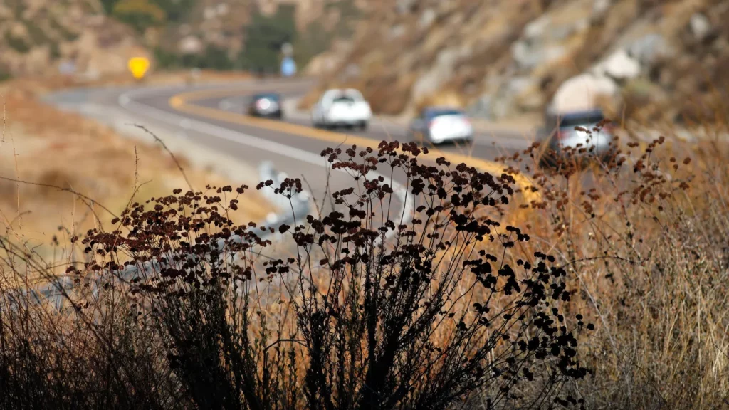 Red Flag Alert: The Hidden Danger Lurking Behind San Diego’s Sunny Skies